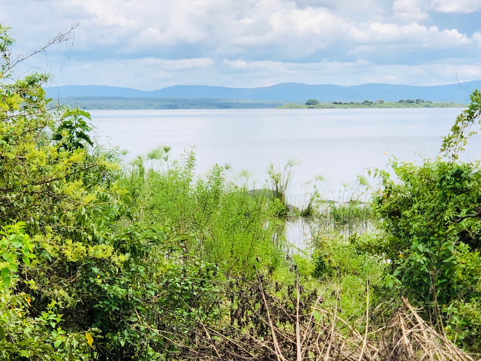Rolling hills and savannah under a wide sky in northern Akagera National Park